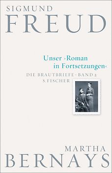 Unser Roman in Fortsetzungen