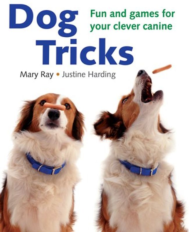 Dog Tricks: Fun and Games for Your Clever Canine