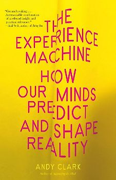 The Experience Machine