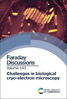 Challenges in Biological Cryo Electron Microscopy