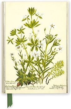 Rbge: Charlotte Cowan Pearson: Stitchworts, Woodruff and Pepperwort (Foiled Journal)