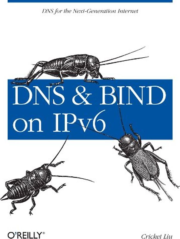 DNS and BIND on IPv6