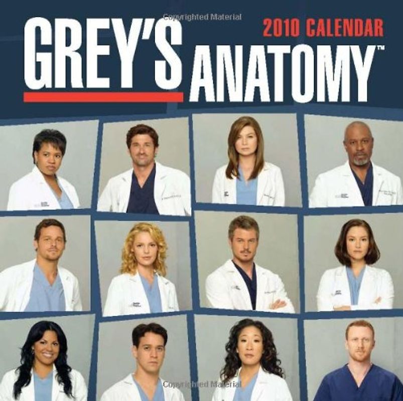 Grey's Anatomy: 2010 Calendar