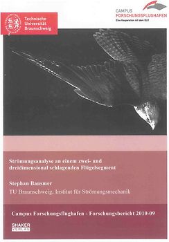Strömungsanalyse an einem zwei- und dreidimensional schlagenden Flügelsegment