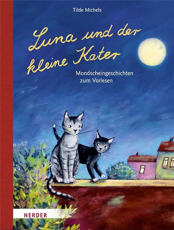 Luna und der kleine Kater