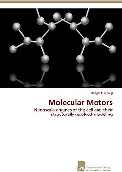 Molecular Motors