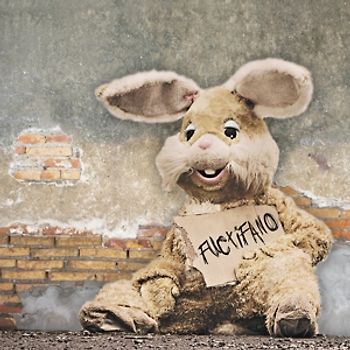 Peter And The Test Tube Babies - Fuctifano