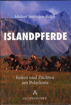 Islandpferde