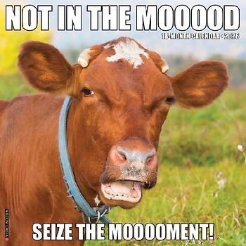 Not in the Mooood 2026 12 X 12 Wall Calendar