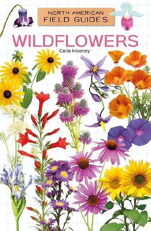 Wildflowers