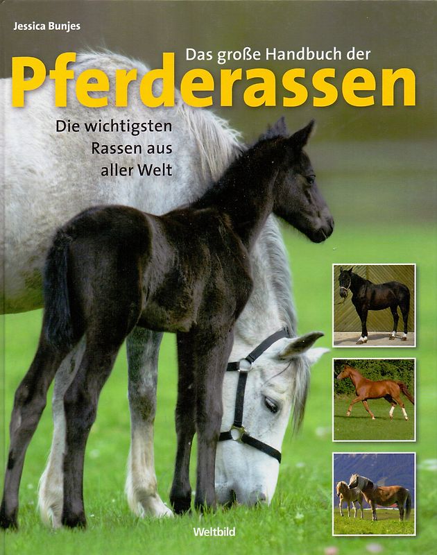Das große Handbuch der Pferderassen: Die wichtigsten Rassen aus aller Welt - Jessica Bunjes [Gebundene Ausgabe]