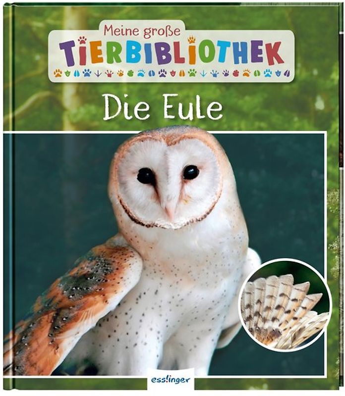 Meine große Tierbibliothek: Die Eule