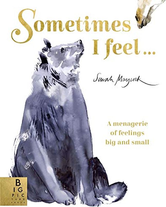 Sometimes I Feel...: A Menagerie of Feelings Big and Small