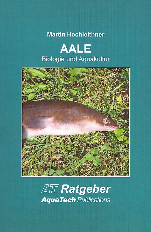 AALE (Anguillidae)