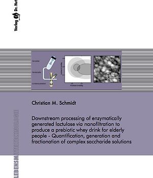 Downstream processing of enzymatically generated lactulose via nanofiltration to produce a prebiotic whey drink for elderly people - Quantification, generation and fractionation of complex saccharide solutions