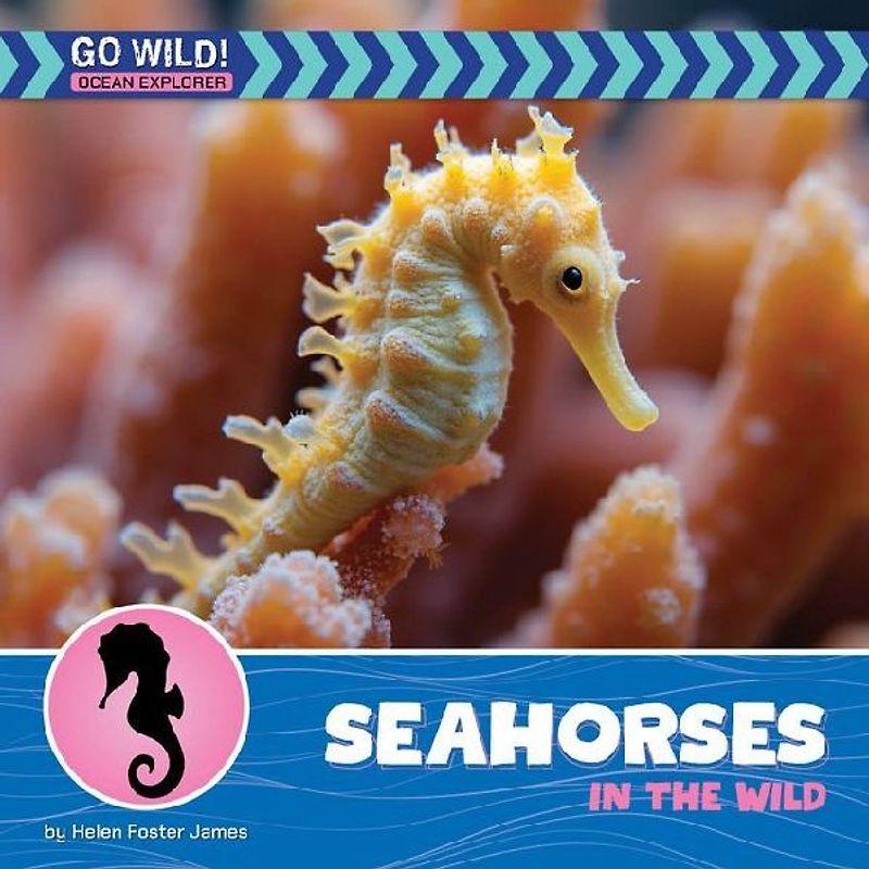 Seahorses in the Wild