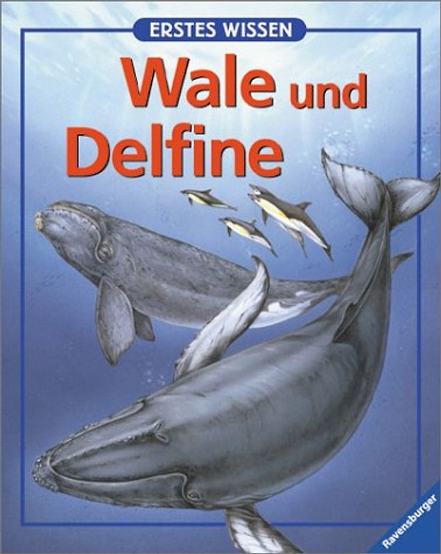 Wale und Delfine