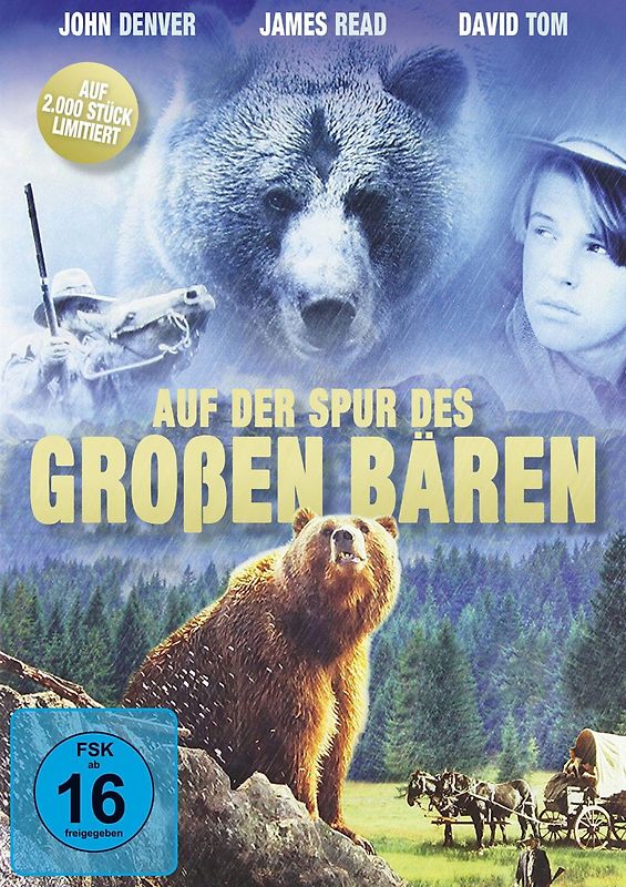 Auf der Spur des großen Bären DVD