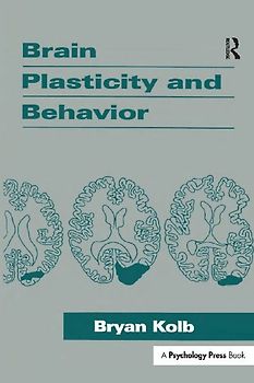 Brain Plasticity and Behavior