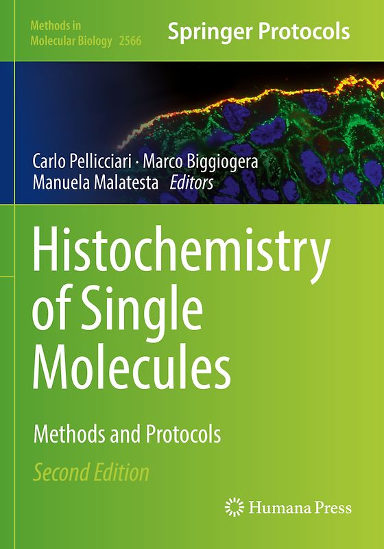 Histochemistry of Single Molecules