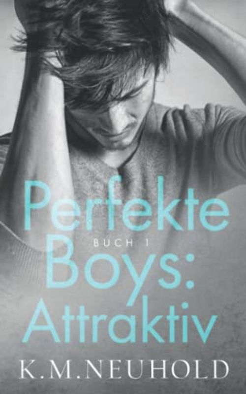 Perfekte Boys: Attraktiv (Buch 1)