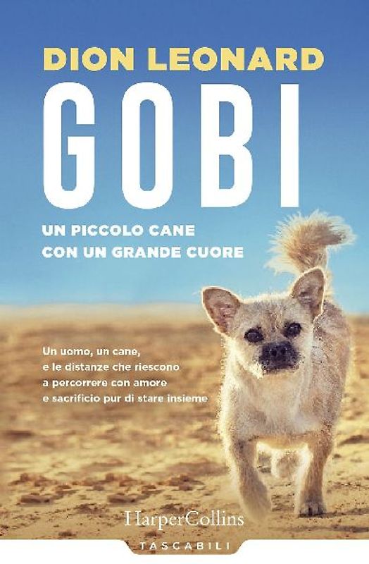 Gobi. Un piccolo cane con un grande cuore