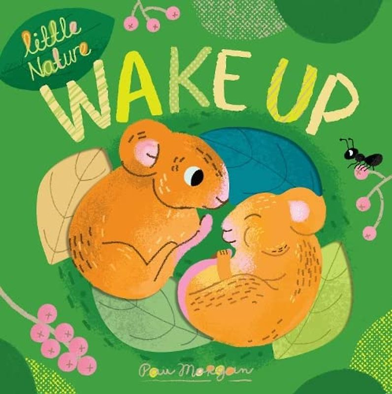 Wake Up: 3 (Little Nature, 3)