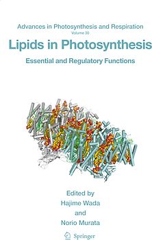 Lipids in Photosynthesis