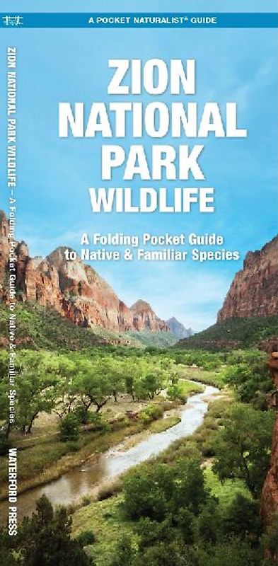 Zion National Park Wildlife