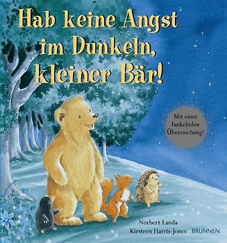 Hab keine Angst im Dunkeln, kleiner Bär!
