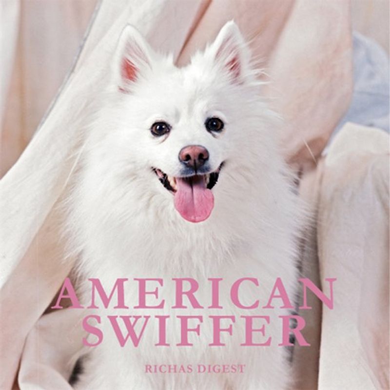 American Swiffer
