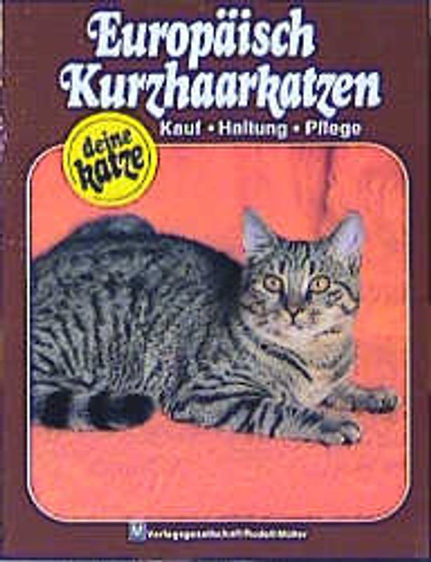Europäisch Kurzhaarkatzen. Kauf - Haltung - Pflege