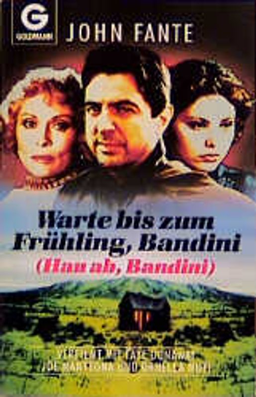 Hau ab Bandini. Roman