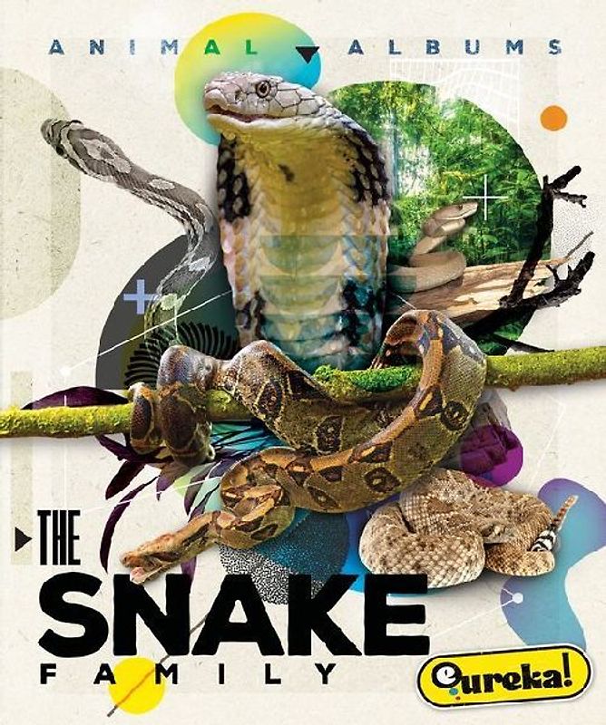 The Snake Family