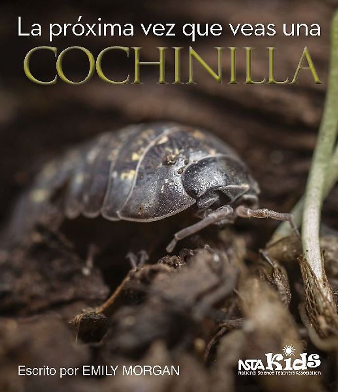 La Próxima Vez Que Veas Una Cochinilla