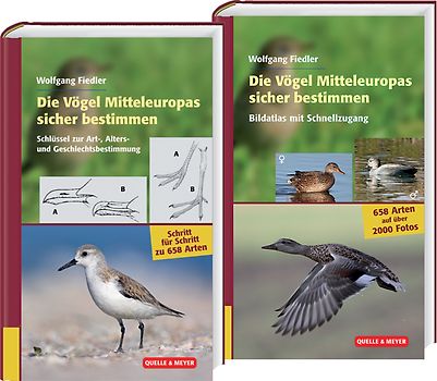Die Vögel Mitteleuropas sicher bestimmen