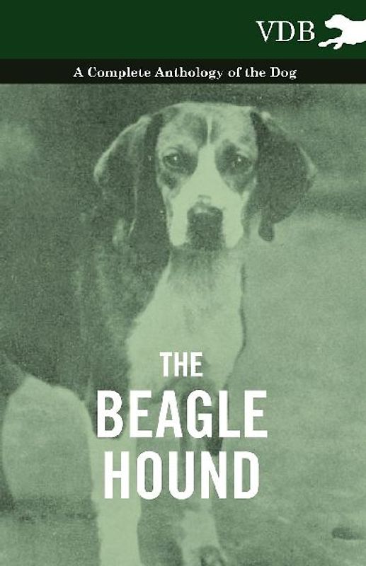 The Beagle Hound - A Complete Anthology of the Dog -