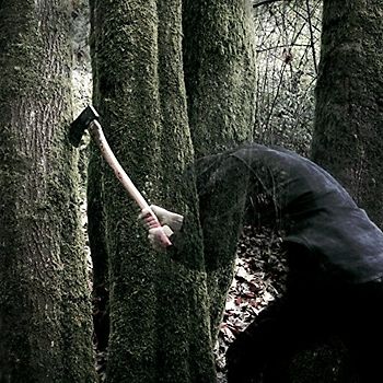 Baptists - Bushcraft