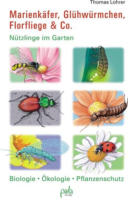 Marienkäfer, Glühwürmchen, Florfliege & Co.