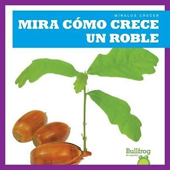 Mira Cómo Crece Un Roble (Watch an Oak Tree Grow)