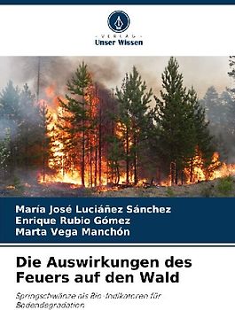 Die Auswirkungen des Feuers auf den Wald
