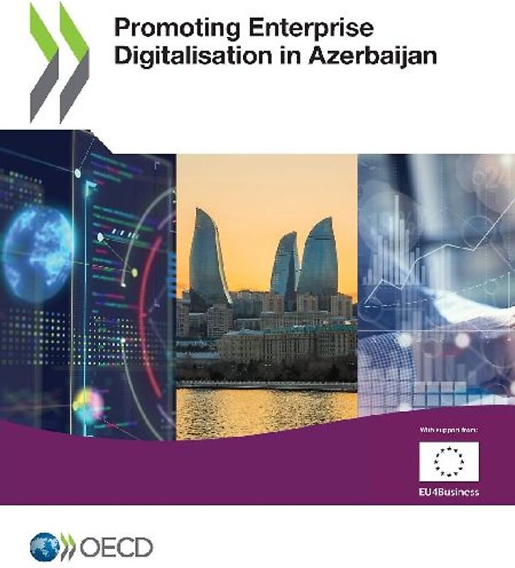 Promoting Enterprise Digitalisation in Azerbaijan