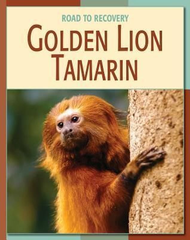 Golden Lion Tamarin