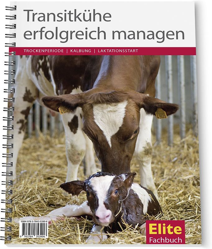 Transitkühe erfolgreich managen