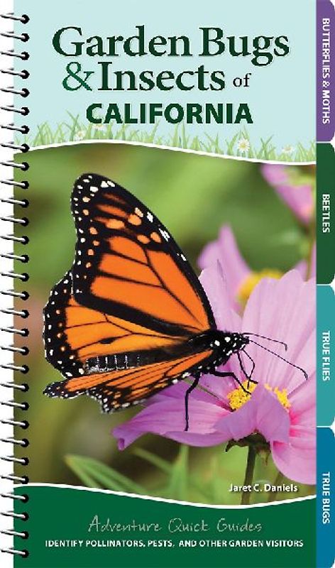 Garden Bugs & Insects of California