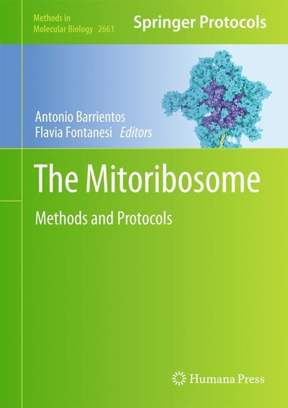 The Mitoribosome