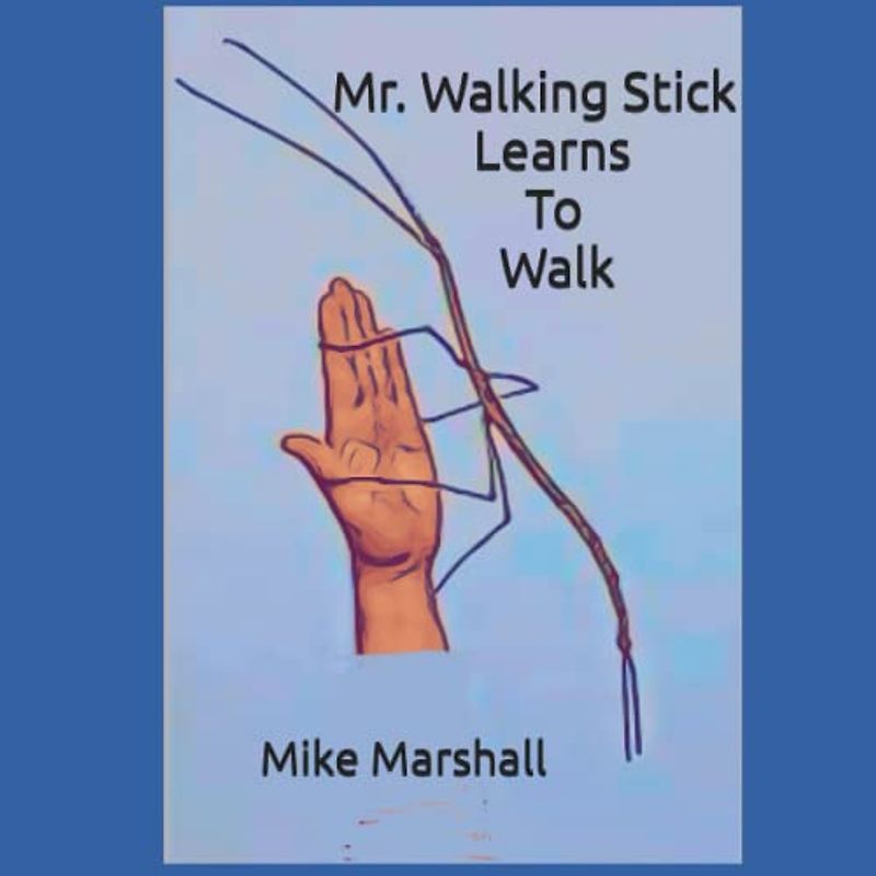 Mr. Walking Stick Learns To Walk