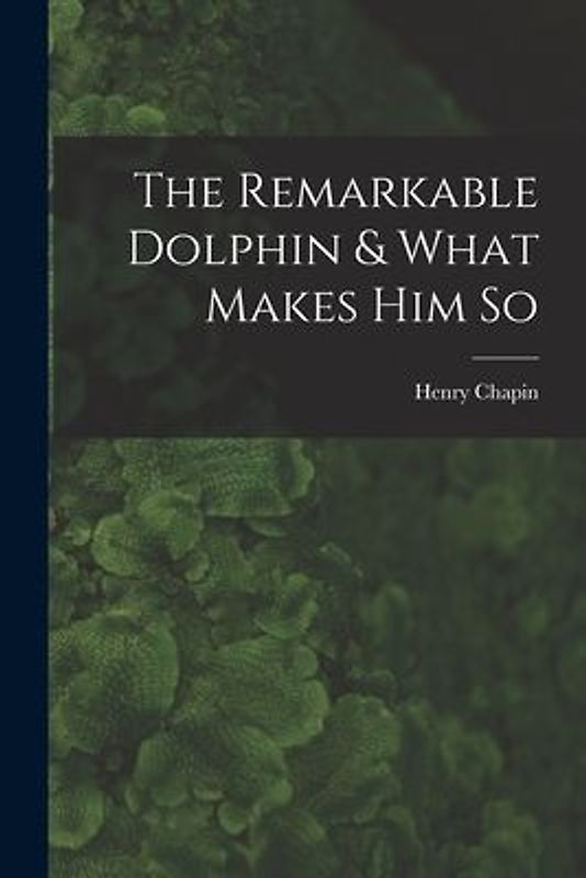 The Remarkable Dolphin & What Makes Him So