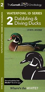 Waterfowl Id Series: 2 Dabbling & Diving Ducks