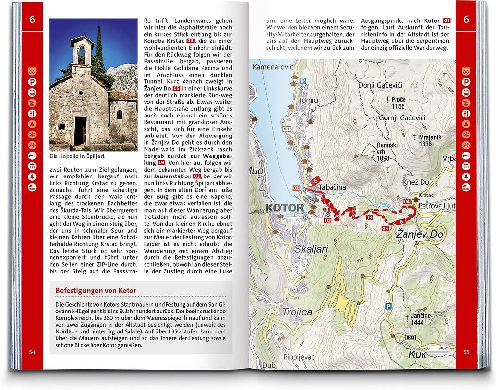 Iconographie des orchidées du Brésil. Volume 1: The illustrations. Volume 2: The textes